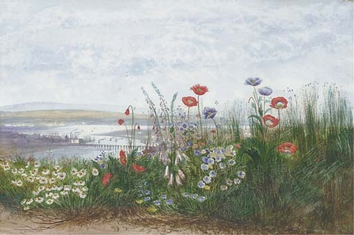 Poppies, Ox-Eye Daisies, Dandelions and Foxgloves at the edge of a field, with a view of Londonderry beyond by Andrew Nicholl