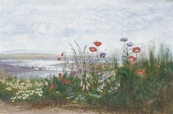 Poppies, Ox-Eye Daisies, Dandelions and Foxgloves at the edge of a field, with a view of Londonderry beyond - Andrew Nicholl