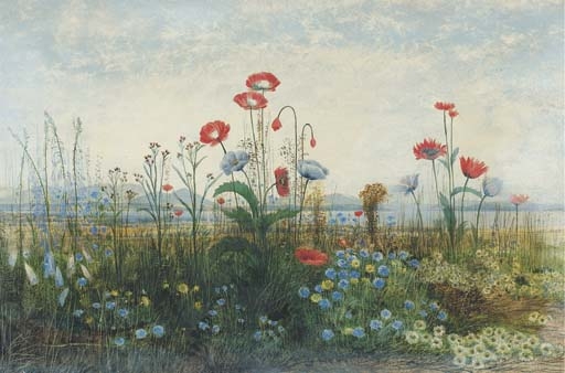 Poppies, Ox-Eye Daisies and Dandelions at the edge of a field, with Carlingford Lough and the town of Rostrevor and the Obelisk in memory of Sir John Ross of Bladensburg in the distance, with the Mountains of Mourne beyond by Andrew Nicholl