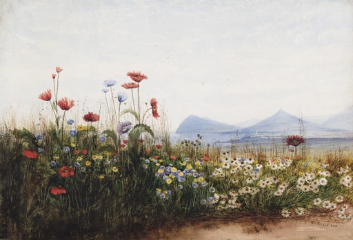 Artwork by Andrew Nicholl, Poppies, cornflowers and daisies on Killiney Hill; Killiney Bay, Bray Head and the Sugar Loaf mountain in the distance, Made of pencil, watercolour and gum arabic