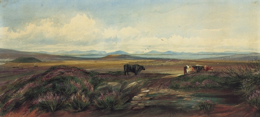 The twelve pins of Connemara from beyond Roundstone