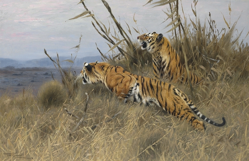 Tigers on the prowl by Wilhelm Kuhnert
