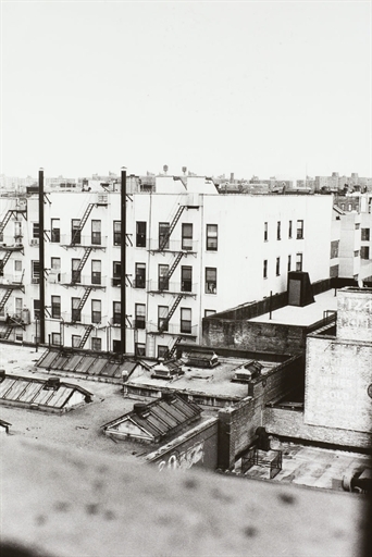 Artwork by Zoe Leonard, Flasher, 1997, Made of gelatin silver print