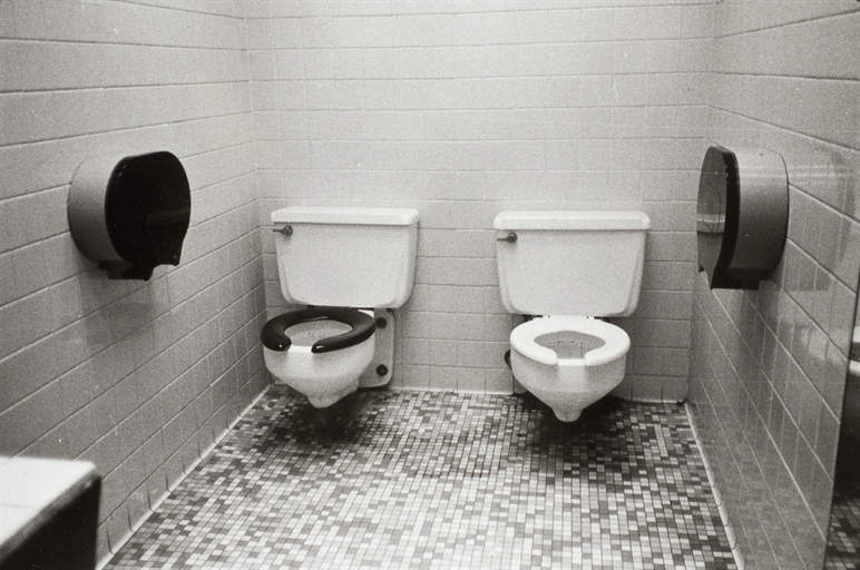 Artwork by Zoe Leonard, 2 toilets, 1994, Made of gelatin silver print