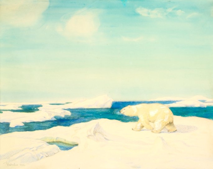 Isbjørn på drivis by Thorolf Holmboe, 1912