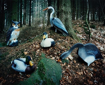 Nature morte I - Per Bak Jensen