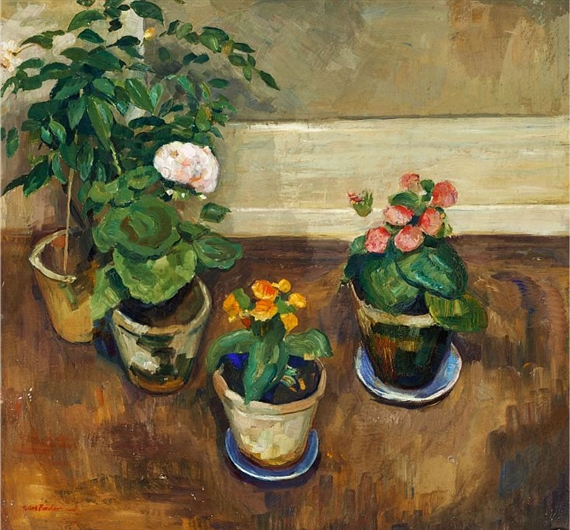 Still life with pot plants