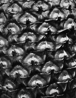 ANANAS - Emmanuel Sougez