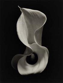 Kenro Izu (Japanese, 1949)