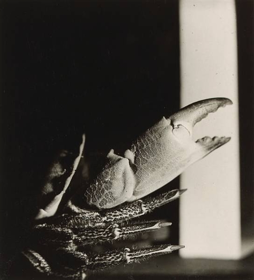 Crab by Jaroslav Rössler, 1930