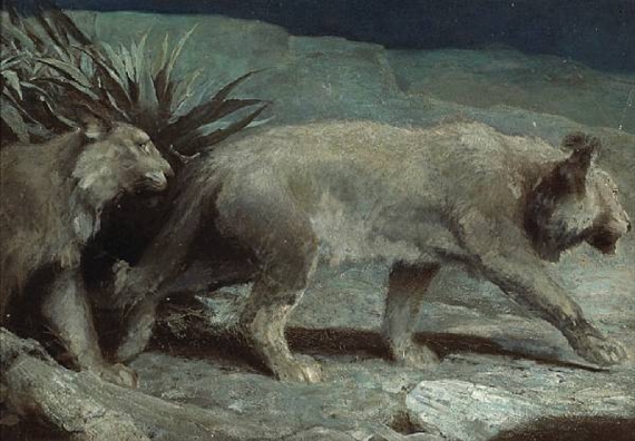 Night prowlers by Harry Dixon, 1895