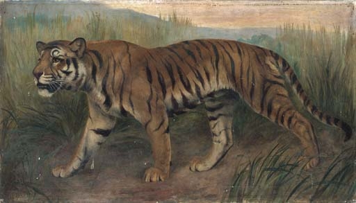 Tiger, Tiger burning bright by Harry Dixon