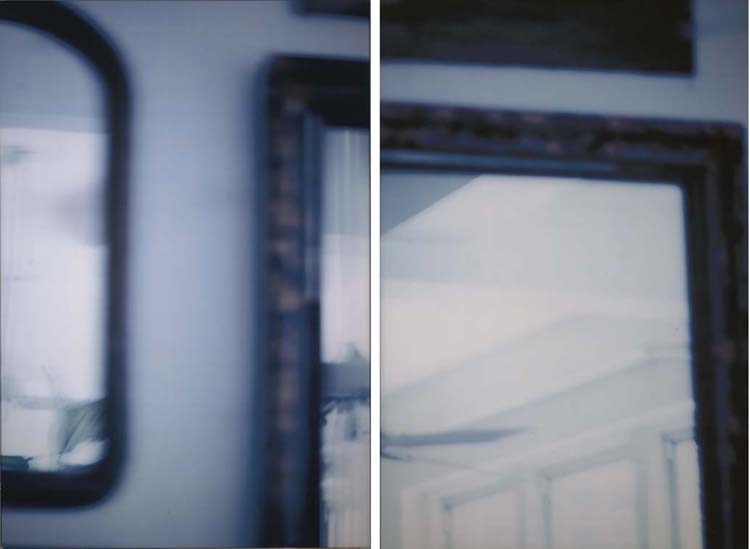 Artwork by Seton Smith, Distracted Mirror, Made of dye bleach print diptych, face-mounted on plexiglas