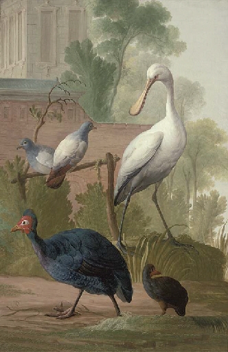 Pigeons, guinea fowl and a spoonbill in a garden, by a walled palace - Gerrit van den Heuvel