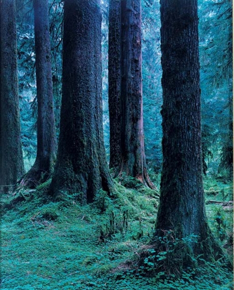 Yoshihiko Ueda | Quinault # 8 (1991) | MutualArt