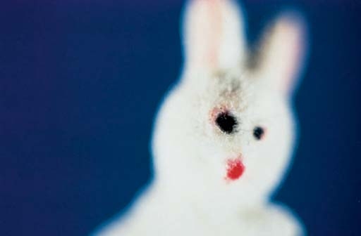 Artwork by Larry Gianettino, White Rabbit, Made of cibachrome