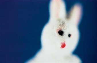 White Rabbit - Larry Gianettino