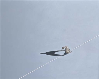 Pedestrian and Traffic Line - Leon Roubos