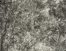 Efrat Shvily (Israeli, 1955)