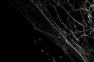 Nadia Hironaka, Matthew Suib: Black Hole - Kim Light / Lightbox