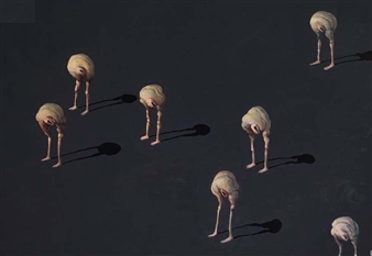 Titelløst billede - Michael Kvium