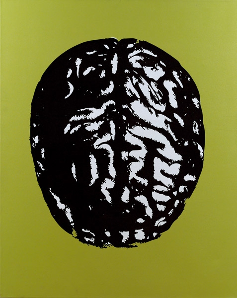 Artwork by Peter Kogler, Hirn