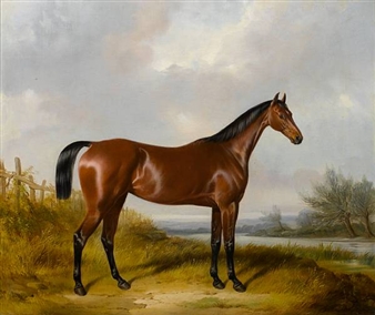A bay hunter by a river - William Barraud