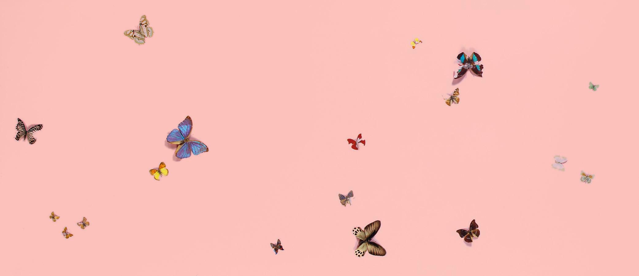 Artwork by Damien Hirst, LOVE-A-DUB-DUB