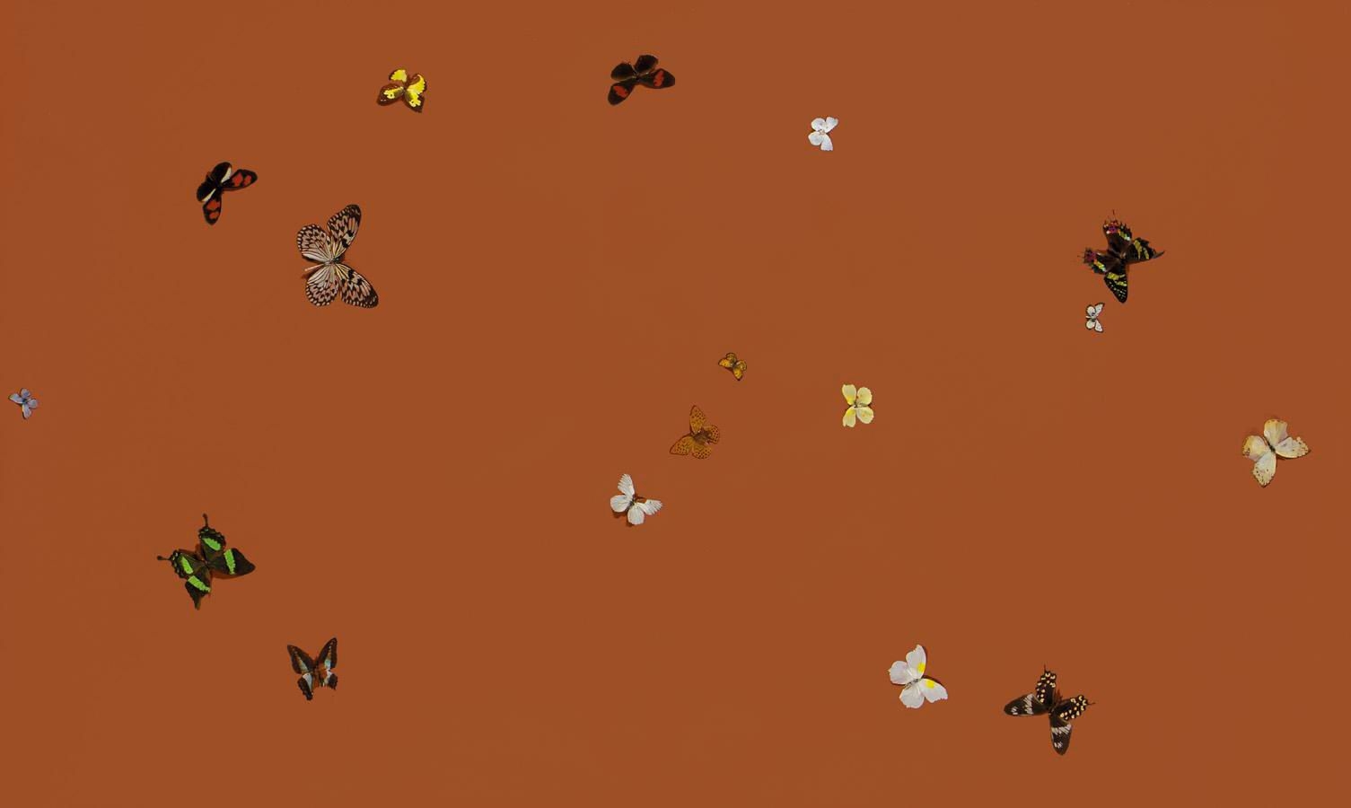 Artwork by Damien Hirst, A LOVELY DAY