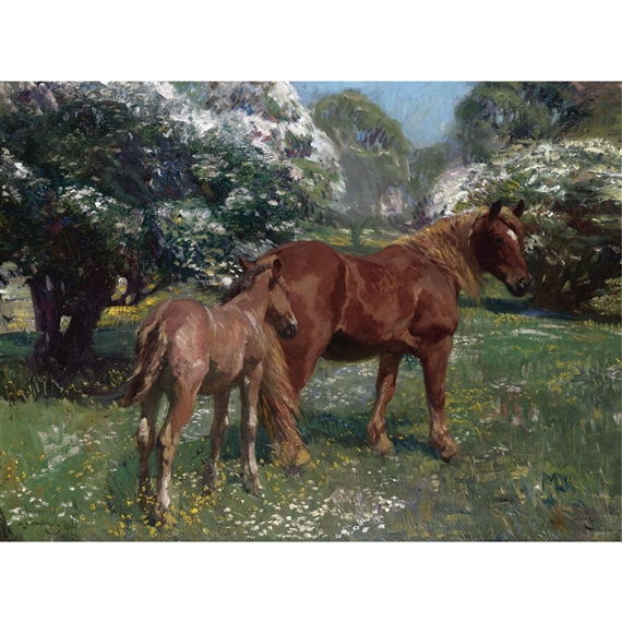 Mare and Foal in a Spring Meadow