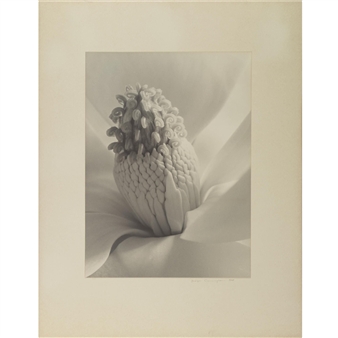 'tower of jewels' - Imogen Cunningham