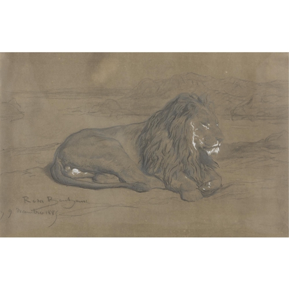 A Seated Lion
