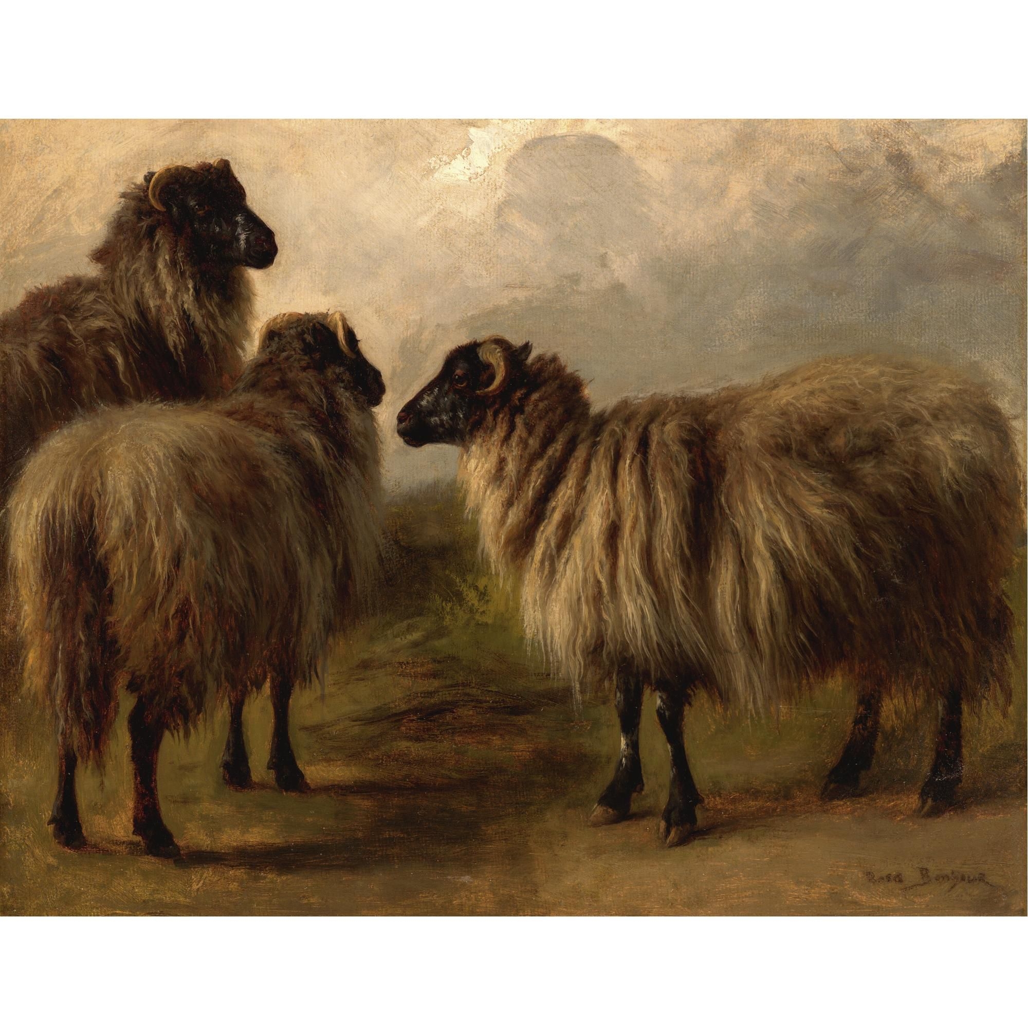 Artwork by Rosa Bonheur, Three Wooly Sheep, Made of oil on canvas