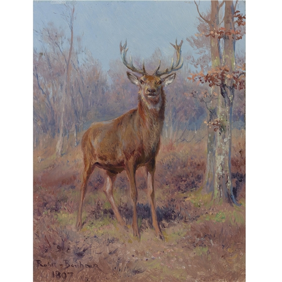 Young Stag in a Wooded Landscape