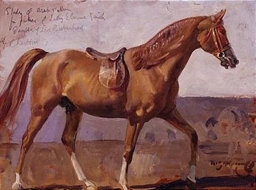 LADY ELEANOR SMTIH'S ARAB STALLION by Sir Alfred James Munnings