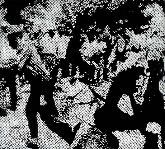 Race Riot, After Warhol (Pictures of ink) by Vik Muniz, 2001