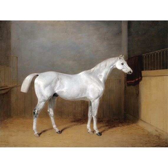 A favourite grey horse belonging to George Reed standing in a loose box by William Barraud