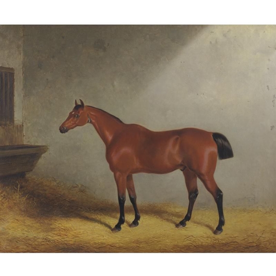 Portrait of the hunter Dolla aged 17 years in a loose box, 1833 by William Barraud
