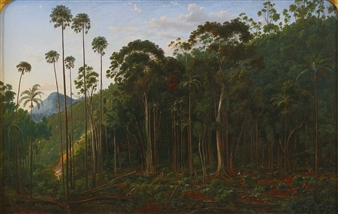 CABBAGE TREES NEAR THE SHOALHAVEN RIVER, N.S.W. - Eugene von Guérard