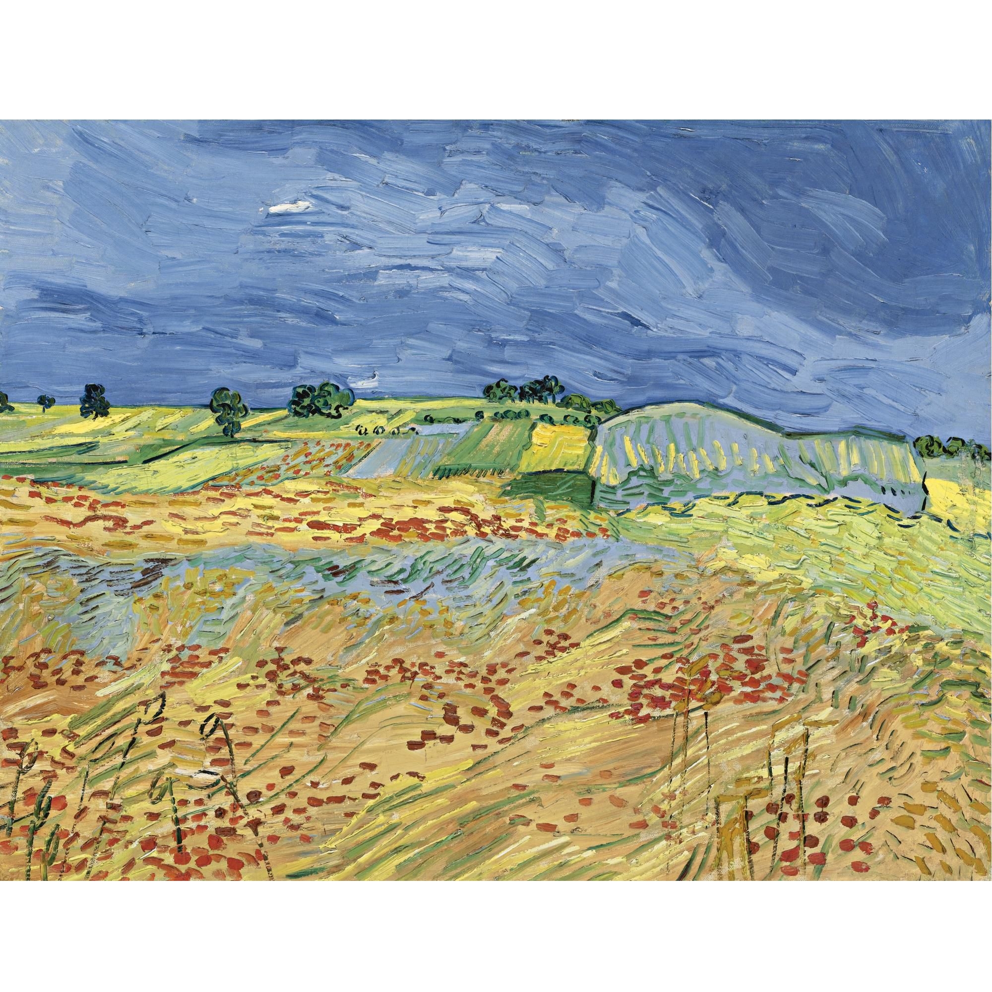 Картины 1889. Ван Гог "поле". Ван Гог пшеничное поле 1889. Винсент Ван Гог пейзажи. Картина Ван Гога пшеничное поле.