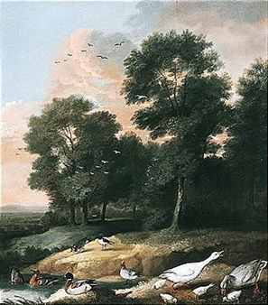 an assembly of river birds - Francis Barlow