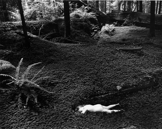 `CHILD IN FOREST' by Wynn Bullock