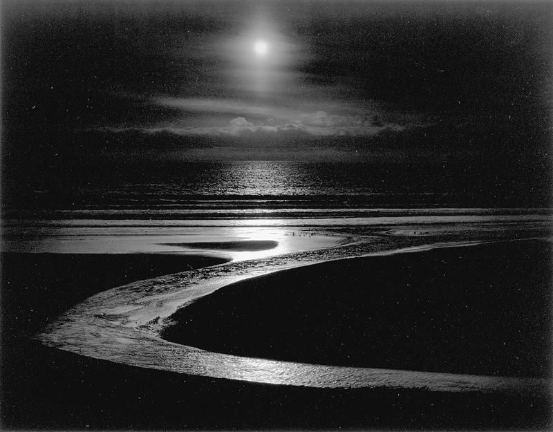 Artwork by Wynn Bullock, 'LET THERE BE LIGHT'