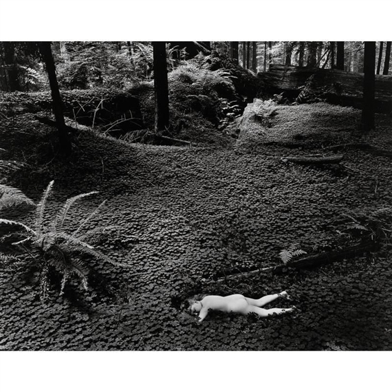 'CHILD IN FOREST' by Wynn Bullock