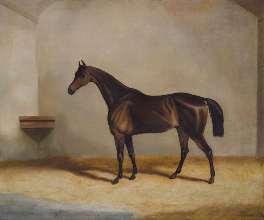 Artwork by Richard Denew, A BAY RACEHORSE IN A STABLE, Made of oil on canvas
