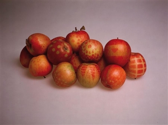 SENZA TITOLO - Stefania Galegati