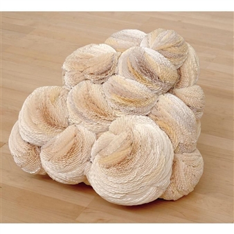 Untitled - Tara Donovan