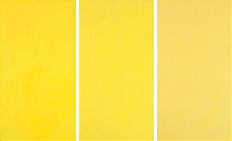 Franz Wanner Art Auction Results