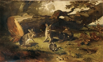 Famille de lapins dans un sous bois - Philippe Rousseau