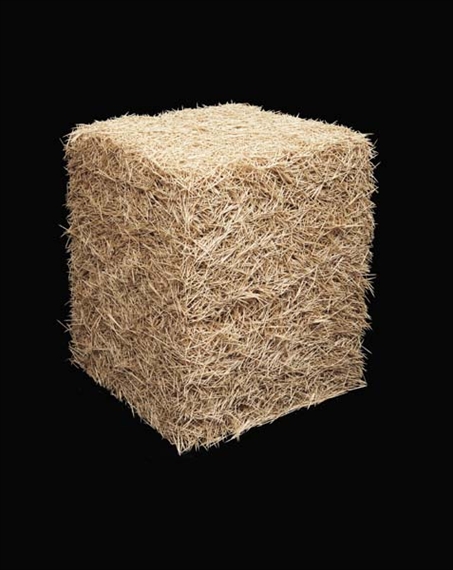 Toothpicks by Tara Donovan, 2000